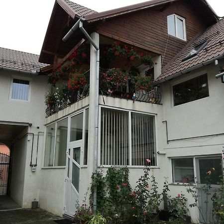 Vila Nely Rîşnov Extérieur photo