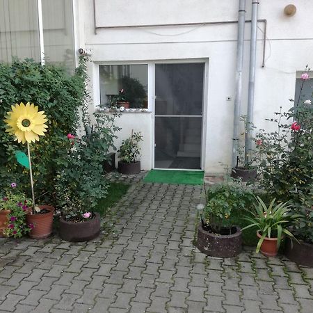 Vila Nely Rîşnov Extérieur photo