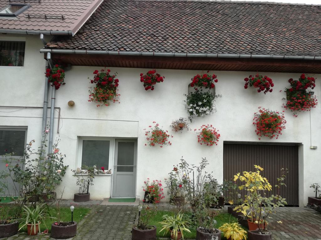 Vila Nely Rîşnov Extérieur photo