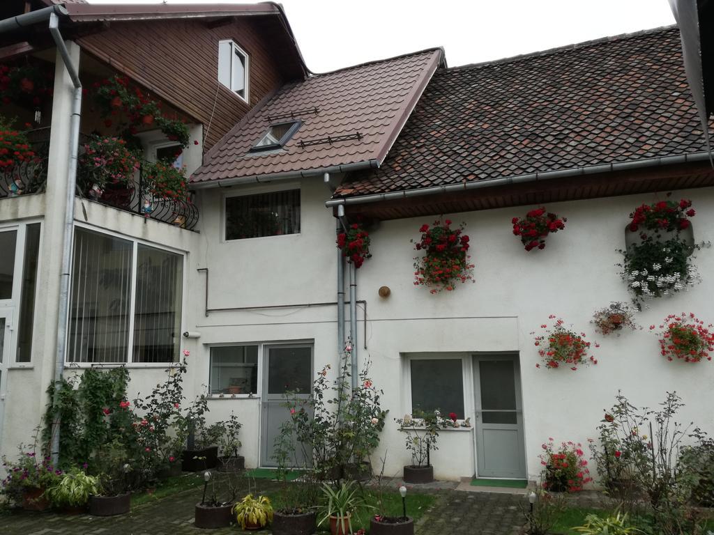 Vila Nely Rîşnov Extérieur photo