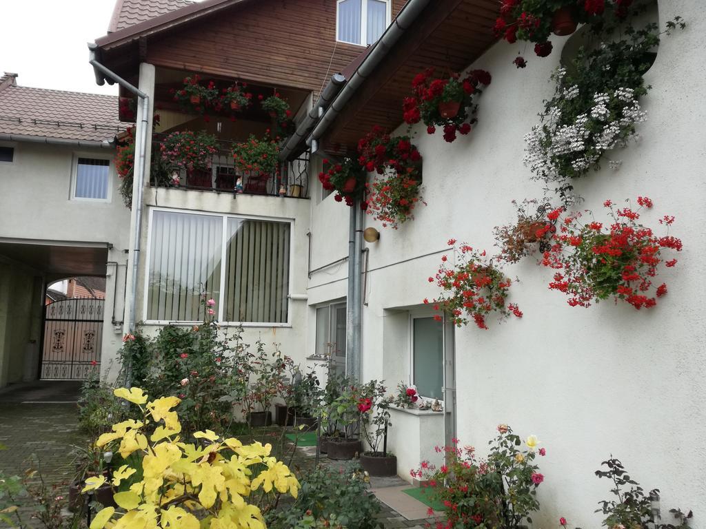 Vila Nely Rîşnov Extérieur photo