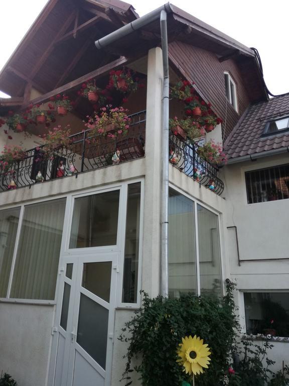 Vila Nely Rîşnov Extérieur photo